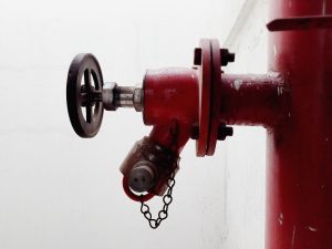 Pročitajte više o članku Mladi vatrogasac