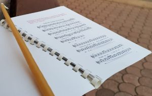 Pročitajte više o članku Trodnevnica svetome Franji